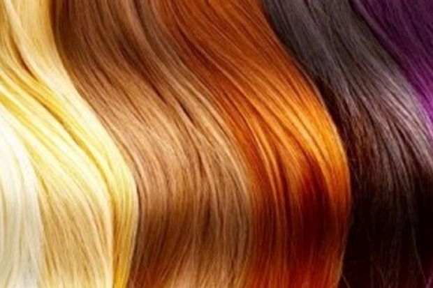 hukum warna rambut